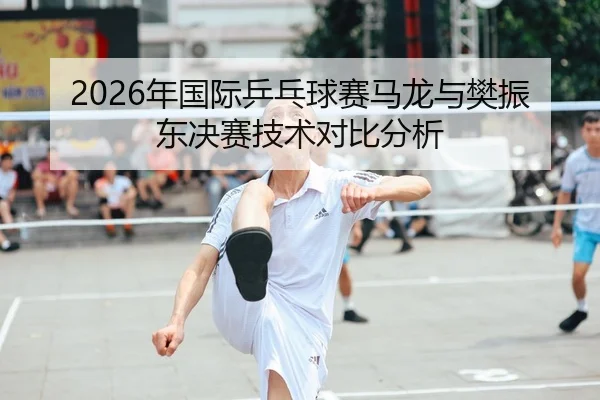 2026年国际乒乓球赛马龙与樊振东决赛技术对比分析