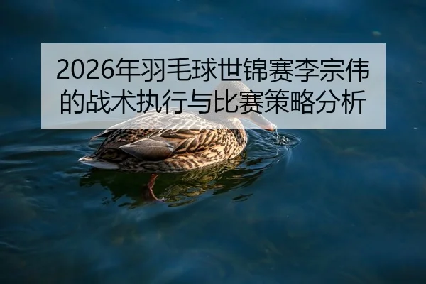2026年羽毛球世锦赛李宗伟的战术执行与比赛策略分析
